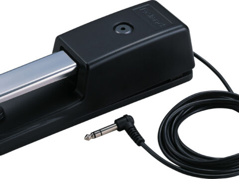 DP10